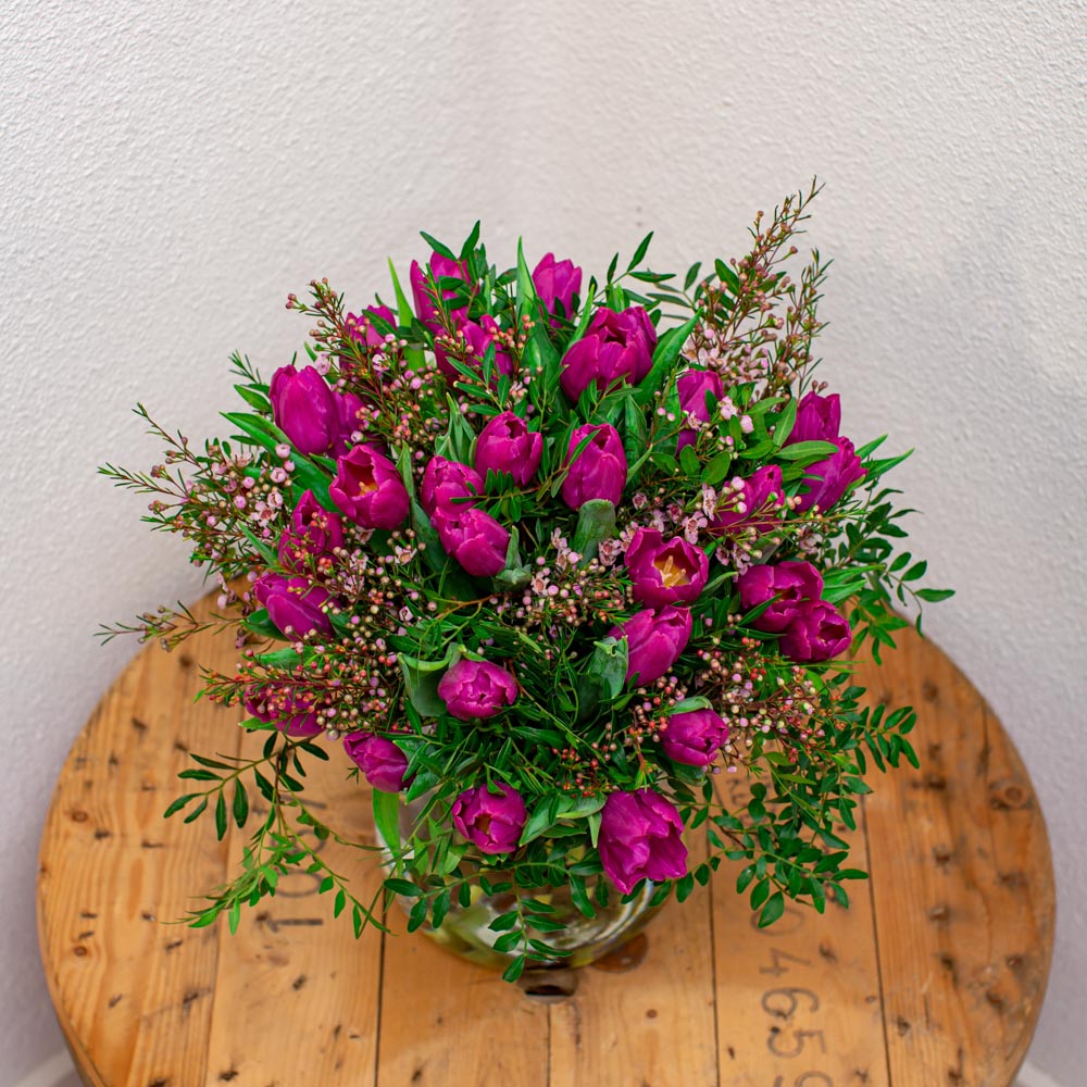 Tulpen paars - Afbeelding 2