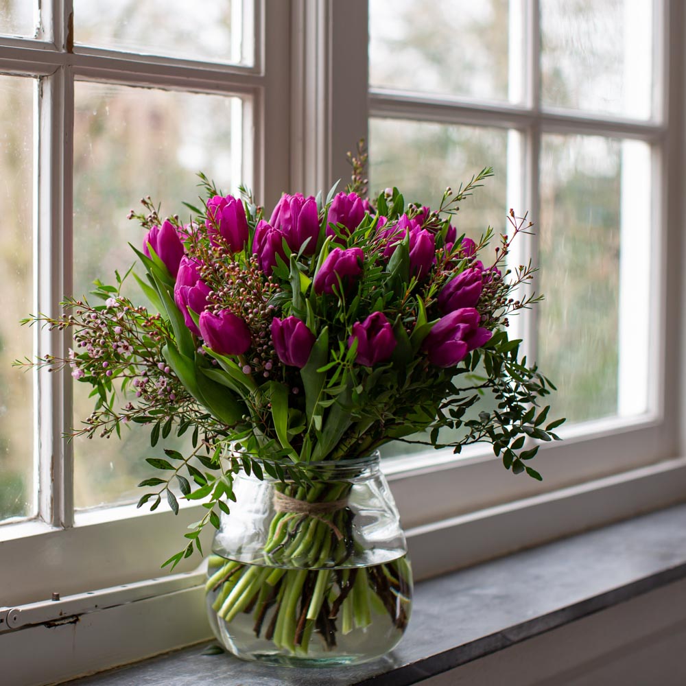 Tulpen paars - Afbeelding 3