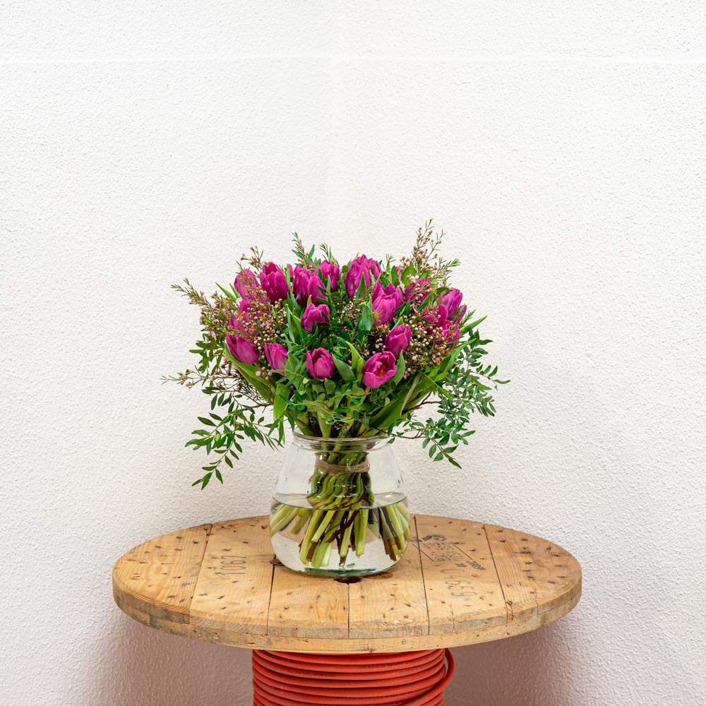Tulpen paars