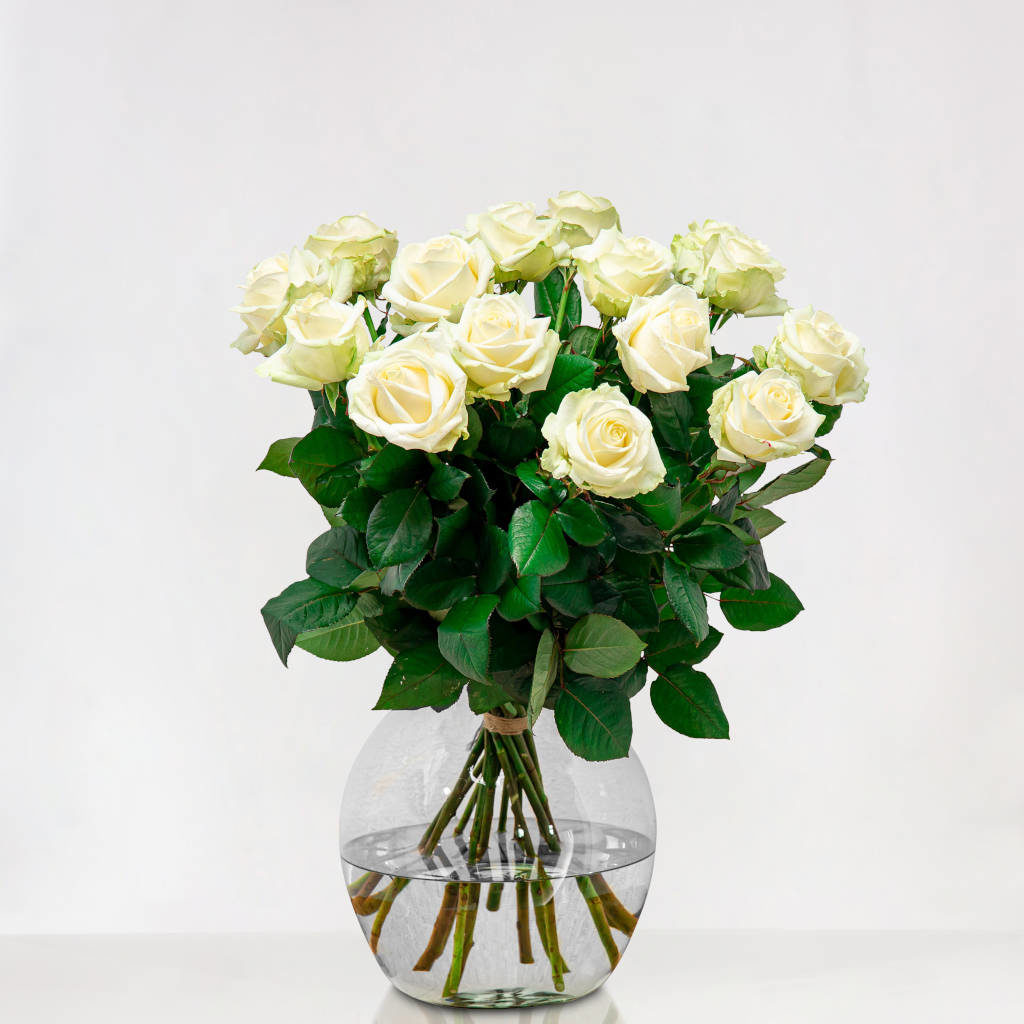 Lange Witte Rozen Met Grote Knop